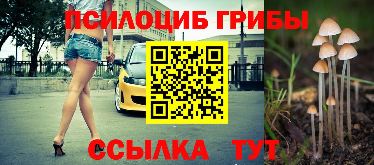 Псилоцибиновые грибы мицелий Северобайкальск