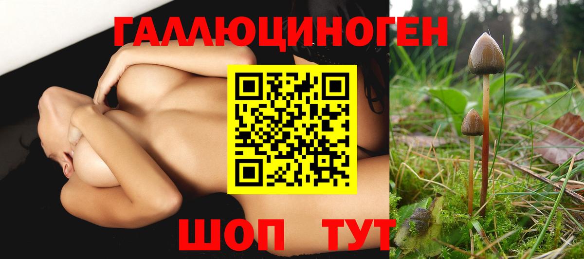 Псилоцибиновые грибы мицелий  Вход с VPN  Северобайкальск  Галлюциногенные грибы Psilocybine cubensis 